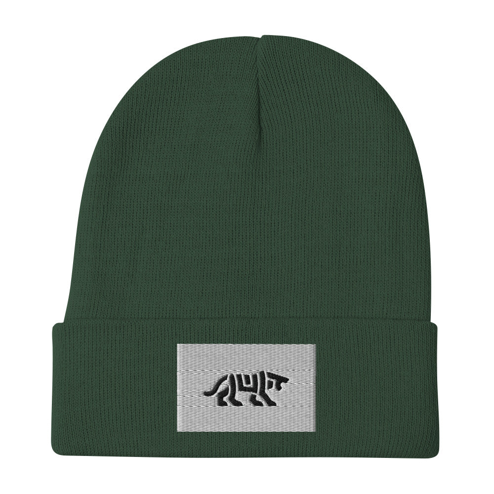 beanie hat beanies beanie