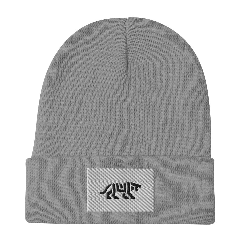 beanie hat beanies beanie