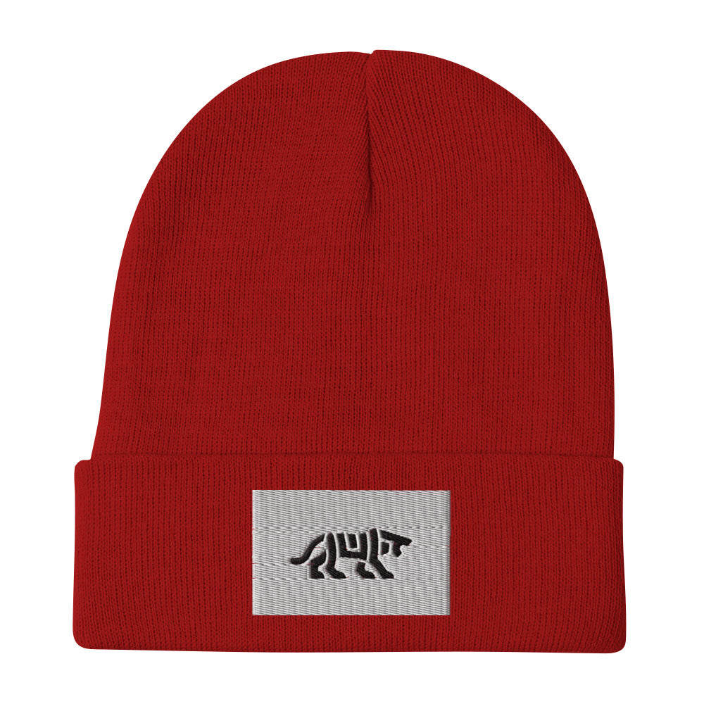 beanie hat beanies beanie