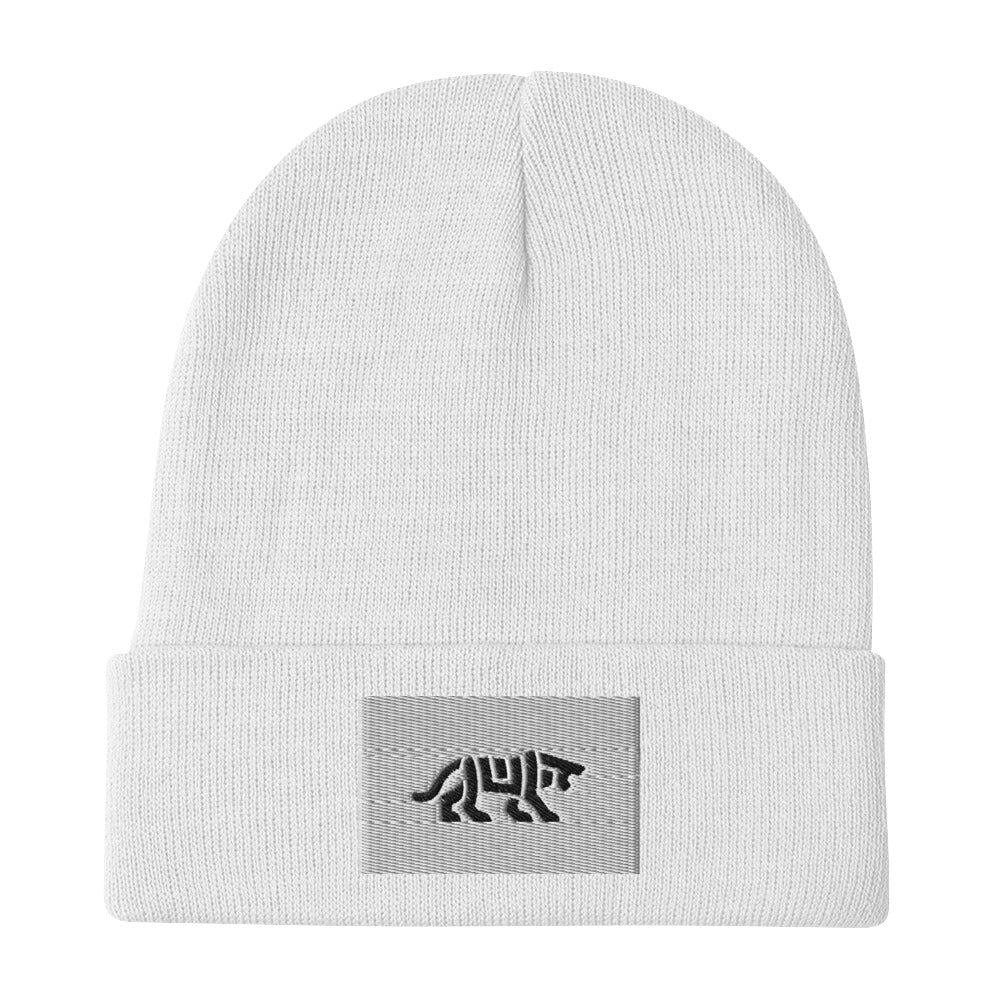 beanie hat beanies beanie